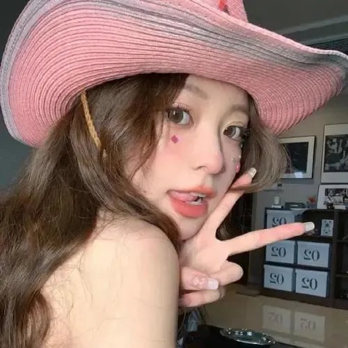 巅峰拍档第二十八季